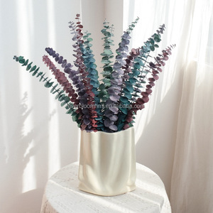 M89 10 Tiges Feuilles d'<span class=keywords><strong>eucalyptus</strong></span> <span class=keywords><strong>séchées</strong></span> <span class=keywords><strong>Fleurs</strong></span> conservées Feuilles d'<span class=keywords><strong>eucalyptus</strong></span> <span class=keywords><strong>Bouquet</strong></span> Décor floral Fleur immortelle pour mariage Design - Product Image 3