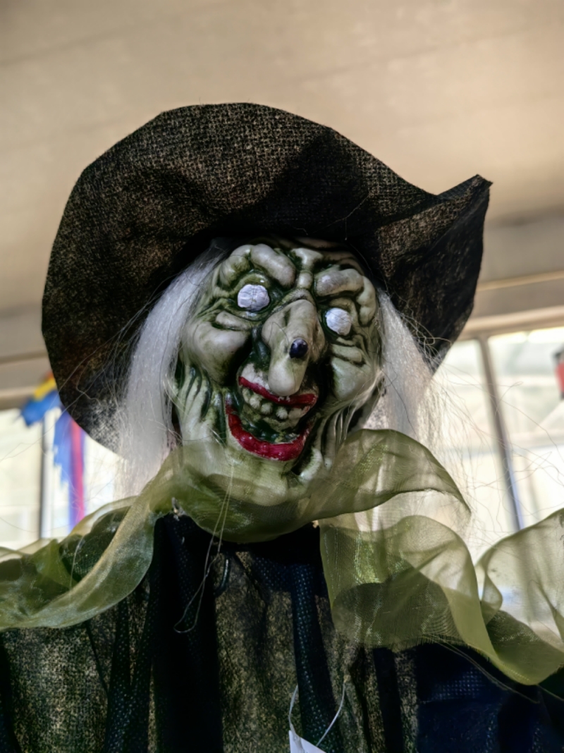 Sorcière noire