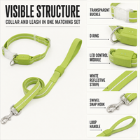 Collier pour chien en caoutchouc PVC avec étiquette privée, longue laisse, ligne réfléchissante blanche, résistant aux intempéries pour chiens
