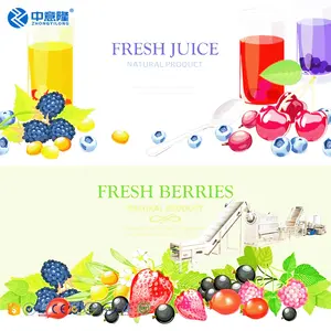 One-stop Solution of Good Quality Automatic Fruit Juice Juicing Filling packing Production Line machines