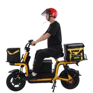 Nueva Bicicleta Eléctrica de Reparto con Estantes Delanteros y Traseros, Bicicleta Eléctrica de Carga con Batería Integrada de 60V y Motor de Buje Trasero - Product Image 2