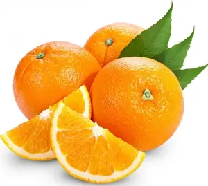 Polvere secca spruzzo naturale del succo d'arancia di 100%, polvere arancio per la fabbricazione della miscela del succo d'arancia di tang