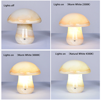 Lampe de table LED moderne en céramique et marbre naturel, écologique, étanche, multicolore, pour salon, avec abat-jour, batterie incluse, 50 000 heures d'autonomie