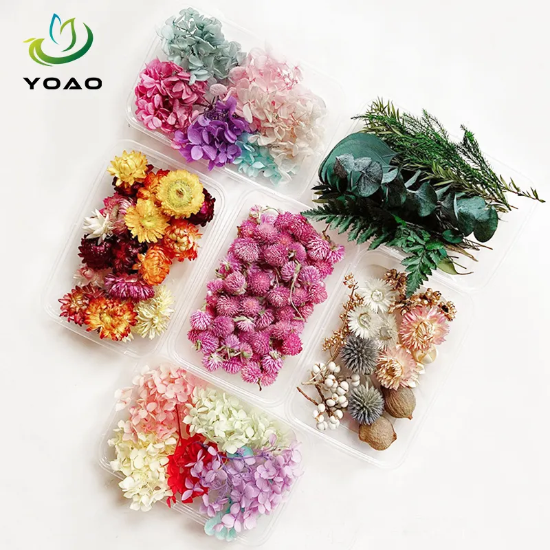 Popular Natural Dried Flowers Mixed Colors Flower Box Candle Soap DIY Materials for Sale