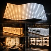 Panneau LED flexible ultra-fin, pliable, DC24V, découpable, CCT 2700k-6500k, panneau LED de haute qualité, SMD2835, panneau lumineux pour marbre
