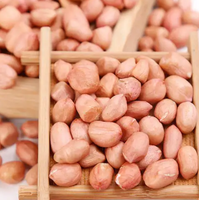 Arachides brutes en gros, noyaux d'arachides naturels, fournisseur en vrac pour la transformation alimentaire, fournisseur OEM en gros de Chine