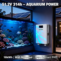 Baterai Lithium 51.2V 48V 314Ah 16kWh untuk Sistem Penyimpanan Baterai Surya, Terpasang di Dinding dengan Roda