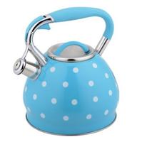 Nouveau produit bouilloire à café en acier inoxydable à induction résistante à la chaleur théière sifflante avec peinture en couleur pour l'utilisation de l'eau