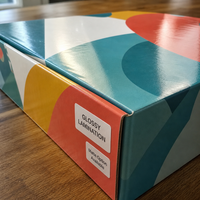 Scatola in Cartone Ondulato Riutilizzabile Impermeabile Resistente con Stampa a Colori Personalizzata Logo CMYK Laminazione Litografica Vendita Diretta dalla Fabbrica