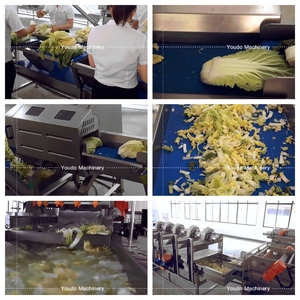 Línea de producción automática de lavado de verduras y frutas, línea de procesamiento de verduras para ensaladas, verduras de hoja verde y raíz - Product Image 5
