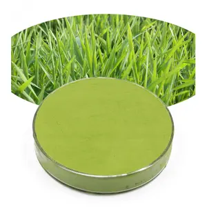 Aditivos alimentarios hierba de cebada Halal/polvo de extracto verde/polvo de jugo