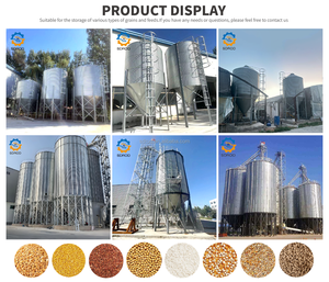 <span class=keywords><strong>Mini</strong></span> Silo de Almacenamiento de Granos SDROD con Construcción de Acero Galvanizado en Caliente, 1 Año de Garantía, en Venta - Product Image 5