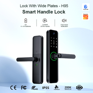 โรงงานลิลิไวส์ ขายส่ง ล็อคประตูหน้าอิเล็กทรอนิกส์ Tuya TTlock ระบบไบโอเมตริกซ์ รหัสผ่าน ลายนิ้วมือ แอปพลิเคชัน ล็อคดิจิตอลอัจฉริยะสำหรับประตู - Product Image 2