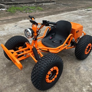 Go-kart - Flash Buggy Todoterreno en Oferta, 48V 1000W, Todoterreno para Adultos, Llantas de 8 Pulgadas - Product Image 1