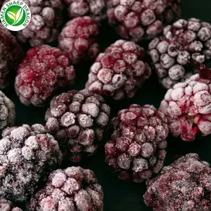 IQF beku organik segar Blackberry liar sehat tanpa manis buah Raspberries beri hitam harga grosir