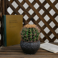 V212 fabricants vente en gros de plantes artificielles Cactus boule multi-taille Cactus plantes vertes pour décoration de sol de mariage