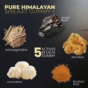 Suplemento de Goma de Shilajit Puro do Himalaia com Marca Privada OEM Rico em <span class=keywords><strong>Ashwagandha</strong></span>, Raiz de Bardana e Ácido Fúlvico para Adultos - Product Image 5