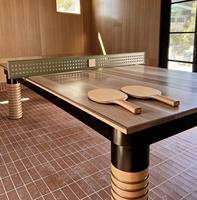 Mesa de Ping-Pong Minimalista Italiana de Alta Gama, Diseño Creativo para Espacios Recreativos de Villas de Lujo