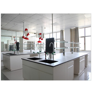 Labor-Epoxidharz-Arbeitsplatte Chemische Labor-Tischplatte - Product Image 2
