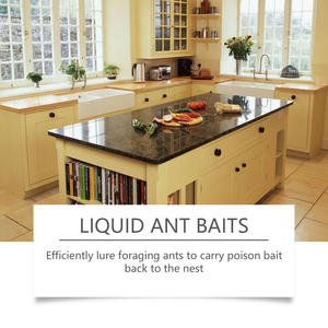 HOZONEX Cebo Líquido <span class=keywords><strong>para</strong></span> <span class=keywords><strong>Hormigas</strong></span>, <span class=keywords><strong>Insecticida</strong></span> Universal <span class=keywords><strong>para</strong></span> el Hogar, Exteriores, Ventanas, Esquinas, Parte Inferior de Electrodomésticos - Product Image 3