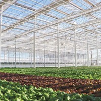 Commerciële grootschalige Venlo glazen kas voor hydroponische aardbeien- en sla-productie met verticale teelttechnologie