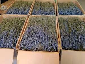 100% טבעי יבש חבילות לבנדר יבש לבנדר יבש פרחים עבור סידור פרחים קישוט הבית - Product Image 6