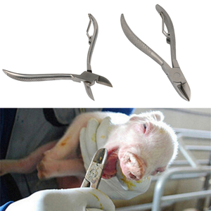 คีมตัด<span class=keywords><strong>ฟัน</strong></span>สุกร/กระต่าย หัวตรง สแตนเลส ขนาด 12.5 ซม./14 ซม. อุปกรณ์สำหรับฟาร์มเลี้ยงสัตว์ - Product Image 1