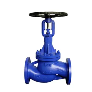 Din Wcb Gietstaal Balg Verzegelde Controle Globe Valve