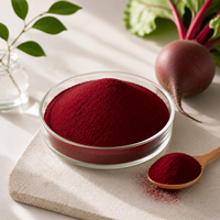 Extrait de feuille de betterave et de racine de betterave rouge de qualité alimentaire, poudre de pulpe de betterave sucrière 100% pure Beta Vulgaris, disponible en emballage fût/bouteille/canette