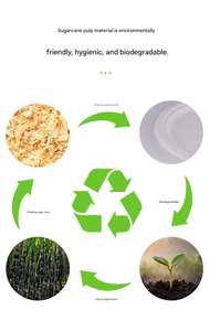 Assiettes jetables rondes en bagasse de canne à sucre biodégradables et non toxiques, taille personnalisée, avec logo OEM, pour camping et fêtes - Product Image 3