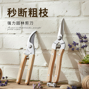 Garden <b>Pruning</b> Shears Carbon Steel Straight Headed Bird Beak For Fruit <b>Tree</b> Flower Trimming Garden <b>Tools</b> - Product Image 1