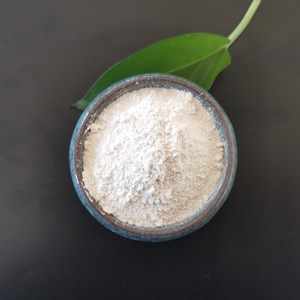 Hoge Zuiverheid 65%-95% Bulk Food Grade Lichtgeel Poeder Magnesiumoxide Mgo 1309-48-4 - Product Image 2