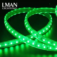 Paysage extérieur super lumineux allumant la lumière de corde de RVB LED SMD5050 60LEDS/M 12 W/M bande de lumière de RVB LED
