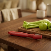Aiguiseur de couteaux et ciseaux professionnel mini en acier inoxydable, multi-grains, multifonctionnel, écologique pour la maison et la cuisine en extérieur