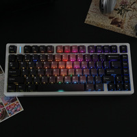 JCM BlackBerry 50 Double-shot Translucent PBT OEM Full Set of Keycaps Korean Russian German French Arabic English Layouts-China