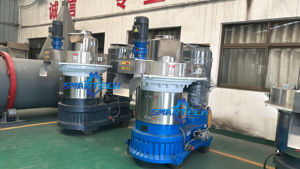 Machines <span class=keywords><strong>de</strong></span> fabrication <span class=keywords><strong>de</strong></span> granulés <span class=keywords><strong>de</strong></span> sciure <span class=keywords><strong>de</strong></span> <span class=keywords><strong>bois</strong></span> <span class=keywords><strong>de</strong></span> peuplier à faible consommation d'énergie, fabricants <span class=keywords><strong>de</strong></span> granulés <span class=keywords><strong>de</strong></span> biomasse - Product Image 6