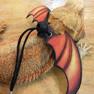 Bebaarde Drakenhagedis Harnas Met Verstelbare Riem Geschikt Voor Eekhoornleguaan Nederlandse Varkensreptielen Koele Vleugels - Product Image 4