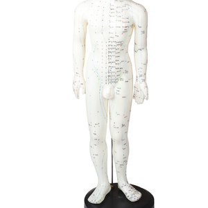 Modello di Punti di Agopuntura Umani Maschili per Muscoli del Corpo, Stile Cinese - Product Image 1