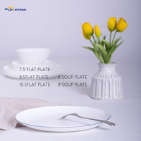 Vaisselle en verre opale trempé, bord bleu fin sur décor émaillé, assiette, bol, assiette à poisson, tasse et soucoupe pour la maison et la restauration