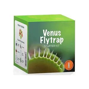Ensemble de plantation de flytrap de Vénus Observation scientifique des enfants pour améliorer les cadeaux de Noël amusants des enfants Kit de flytrap
