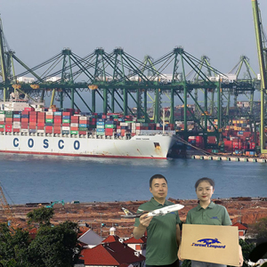 Tarifas de Envío Directo de Dongguan a Irak, Transporte Marítimo desde Shanghái y Yingkou a Canadá - Product Image 5