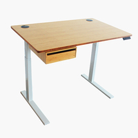 Bureau debout Style contracté bureau en bambou de levage réglable pour bureau maison usine de bambou bureau de levage en bambou