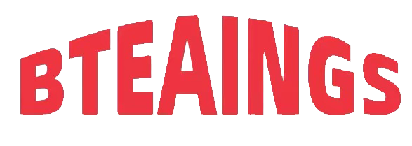 Dongguan City Bteaings Apparel Co., Ltd. logo