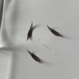 Extensiones de Pestañas Personalizadas Super Matter Black Comic Spire Full Volume 15-20mm Mix Anime C D Promade Fan Manga - Product Image 5