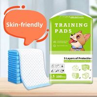 Tapis d'apprentissage jetables super absorbants, doux, imperméables, écologiques et sûrs pour chiots, lapins et gerbilles