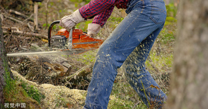 Chaîne de tronçonneuse professionnelle OEM 18 pouces, pas .325, jauge 0,063 po, 74 maillons de transmission, pièces de rechange KORDSA pour la coupe du bois dur - Product Image 6