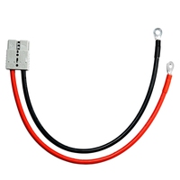 Connecteur haute intensité 40A/50A/120A/175A/350A 600V, câble de charge de batterie, faisceau de câblage pour véhicule électrique, borne en cuivre