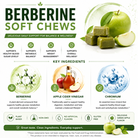 Berberina HCl 500mg en Tabletas Masticables, Texturización Avanzada, Fabricante de Marca Privada a Granel, Socio OEM
