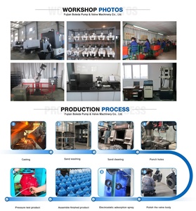 Pompa Centrifuga Elettrica ad Alta Pressione Boleda Fujian Nanping, Antiacido, a Zero Perdite, in Acciaio Inossidabile, Certificata ISO9001 - Product Image 4