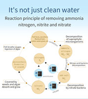 Solution nutritive dénitrifiante pour aquariums Élimine rapidement les nitrites, les nitrates, les phosphates Probiotiques aquatiques bénéfiques
